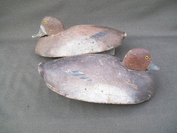 Michigan Redheads Pair- Circa 1920's - St. Clair Flats (#2843)