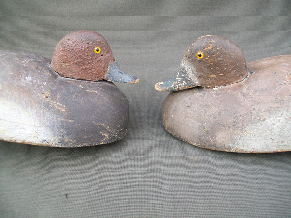 Michigan Redheads Pair- Circa 1920's - St. Clair Flats (#2843)