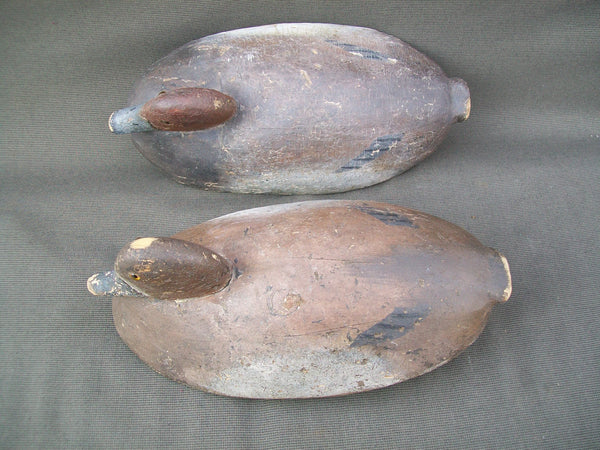 Michigan Redheads Pair- Circa 1920's - St. Clair Flats (#2843)