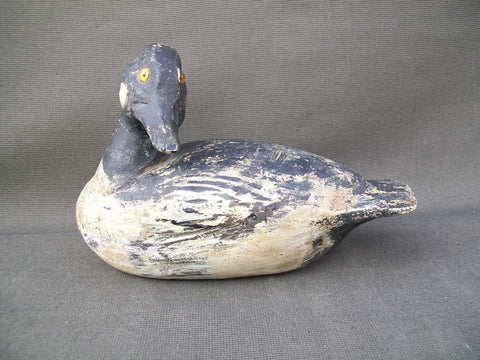 Golden Eye Drake, Ohio origin, turned head  (#2844)