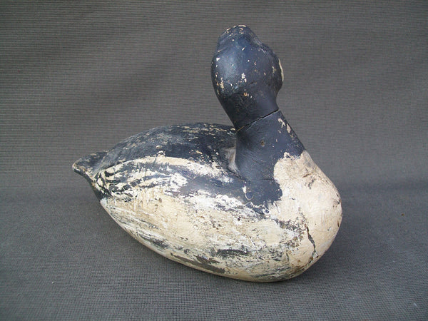 Golden Eye Drake, Ohio origin, turned head  (#2844)