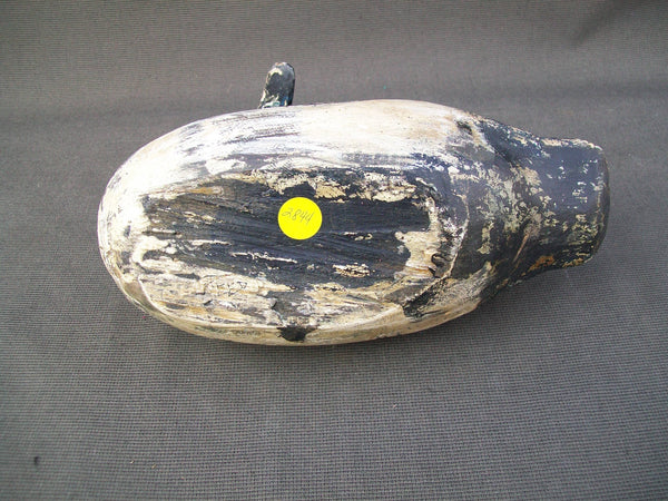 Golden Eye Drake, Ohio origin, turned head  (#2844)