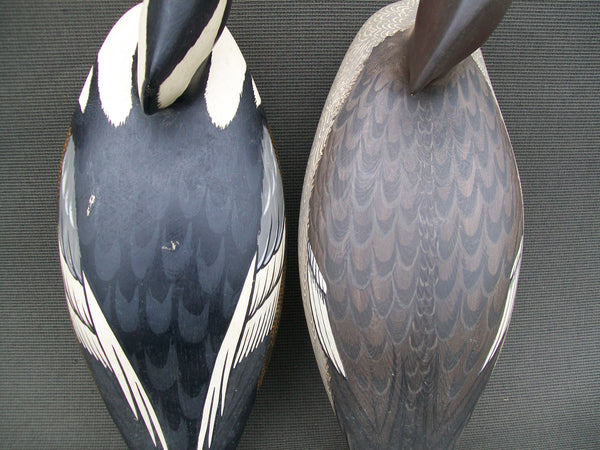 Pair - Virgil Lashbrook Hooded Mergansers, Winter Street Address/Stamp  (#2881)
