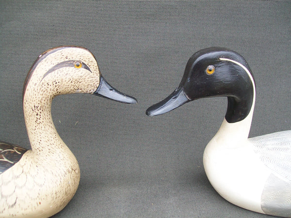 Pintails- Pair, by Tory Ward & Charles Moore