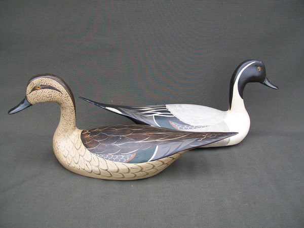 Pintails- Pair, by Tory Ward & Charles Moore