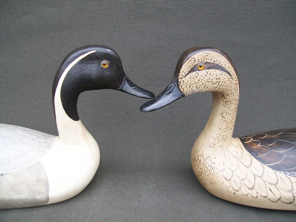 Pintails- Pair, by Tory Ward & Charles Moore