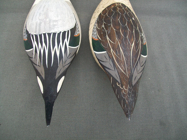Pintails- Pair, by Tory Ward & Charles Moore