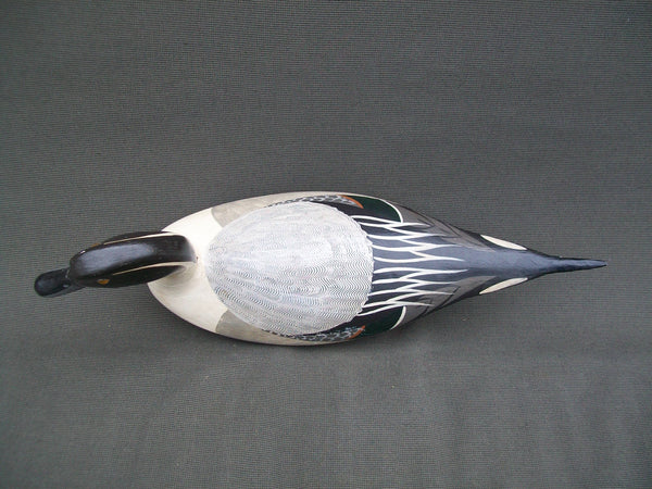 Pintails- Pair, by Tory Ward & Charles Moore