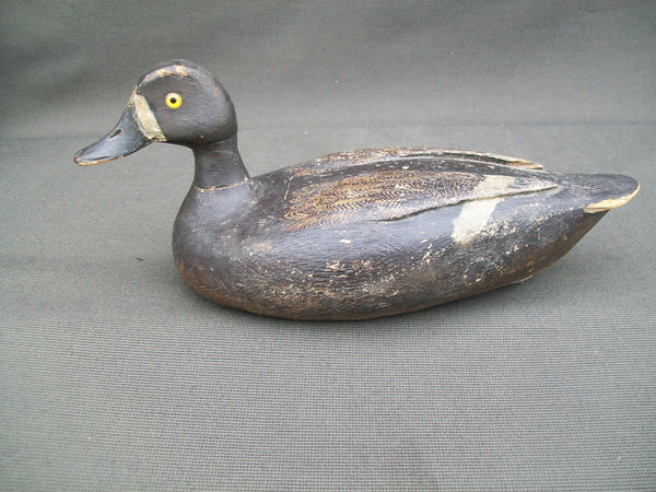 Verdun School Bluebill Hen, Quebec, Circa 1930's  (#2904)