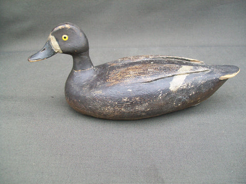 Verdun School Bluebill Hen, Quebec, Circa 1930's  (#2904)