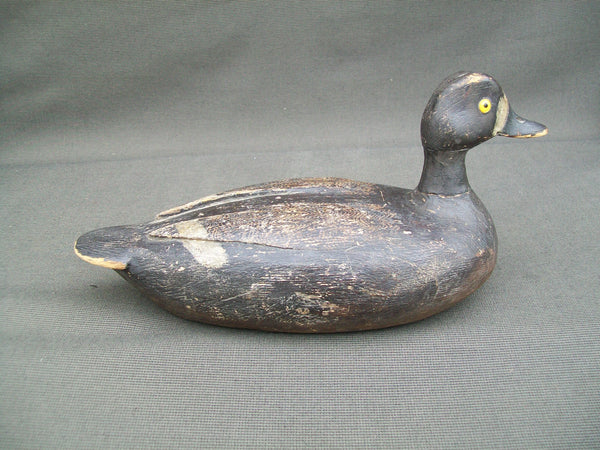 Verdun School Bluebill Hen, Quebec, Circa 1930's  (#2904)