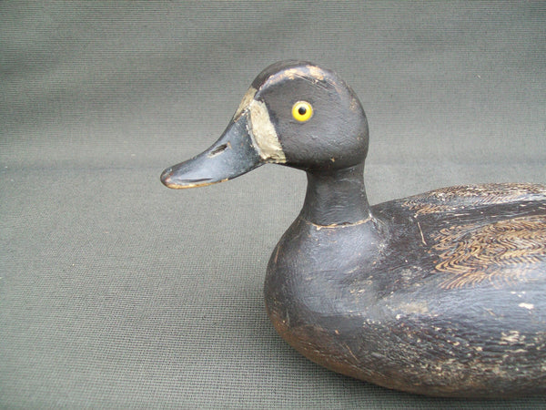 Verdun School Bluebill Hen, Quebec, Circa 1930's  (#2904)