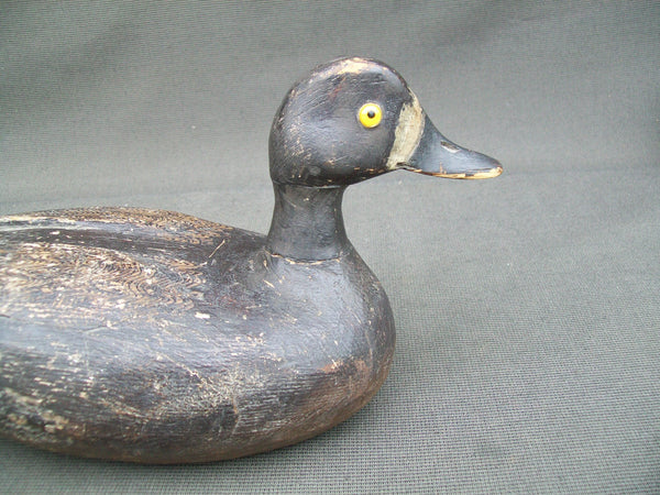 Verdun School Bluebill Hen, Quebec, Circa 1930's  (#2904)