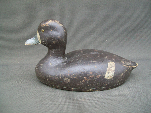 Oscar "Augie" Noorling Blue Bill Hen-  Mostly OP - Circa 1940's
