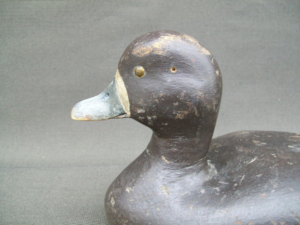 Oscar "Augie" Noorling Blue Bill Hen-  Mostly OP - Circa 1940's