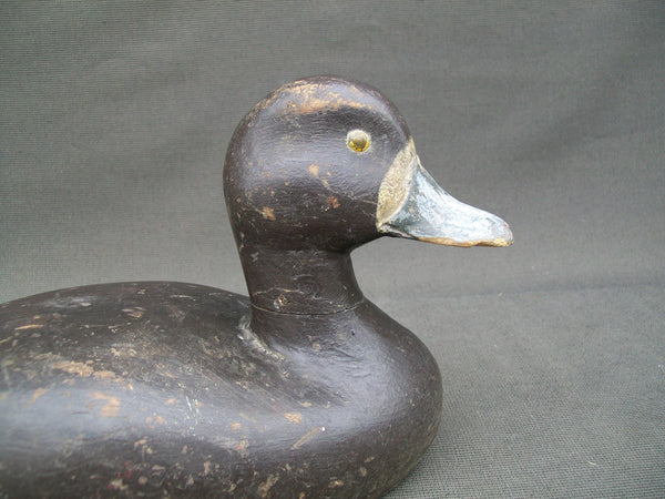 Oscar "Augie" Noorling Blue Bill Hen-  Mostly OP - Circa 1940's