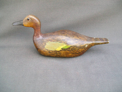 Unknown Wisconsin Blue Wing Teal Hen (#2927)