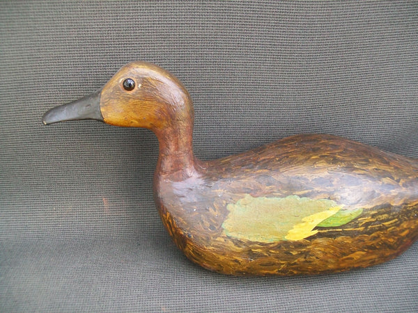 Unknown Wisconsin Blue Wing Teal Hen (#2927)