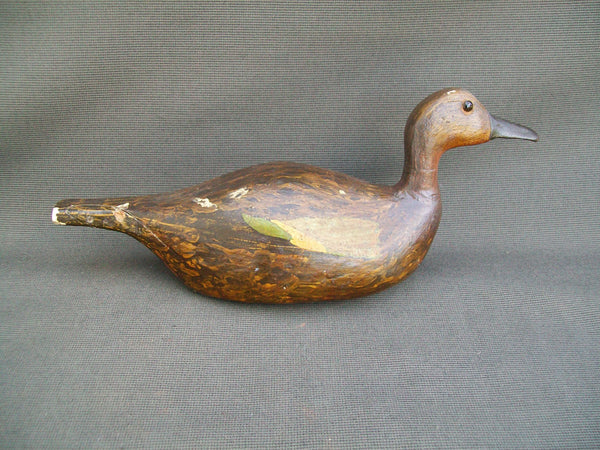 Unknown Wisconsin Blue Wing Teal Hen (#2927)