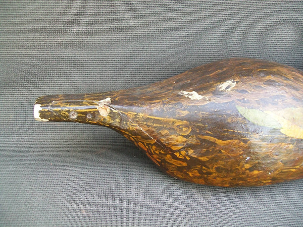 Unknown Wisconsin Blue Wing Teal Hen (#2927)