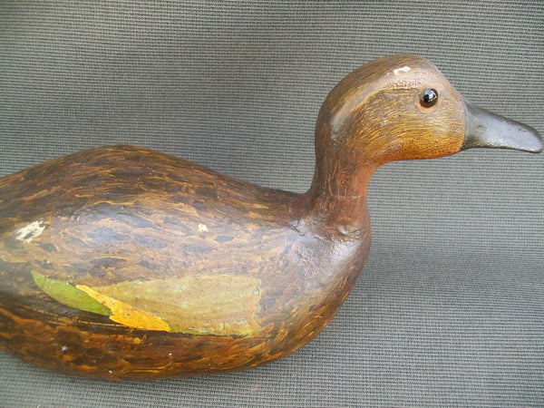Unknown Wisconsin Blue Wing Teal Hen (#2927)
