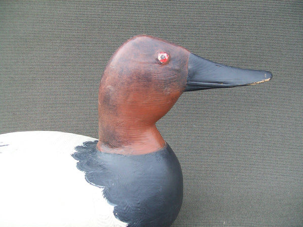 Elliston Style Canvasback, hand carved & hand painted