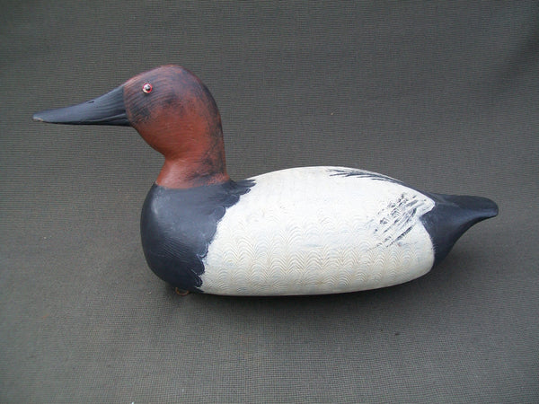 Elliston Style Canvasback, hand carved & hand painted