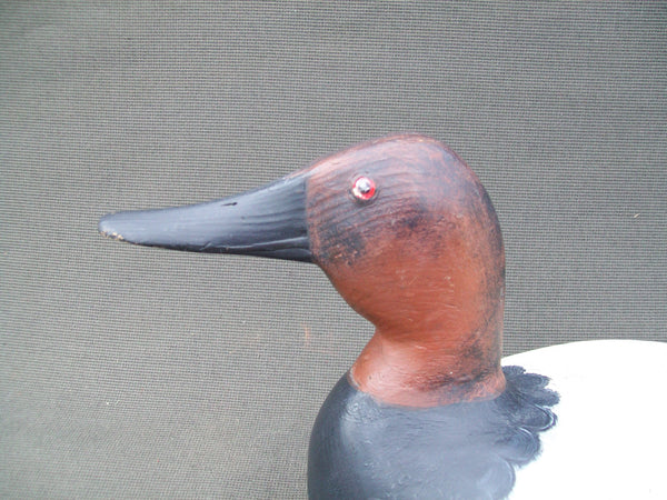 Elliston Style Canvasback, hand carved & hand painted
