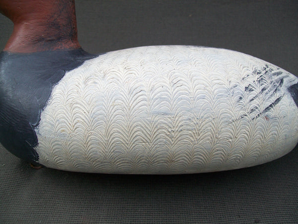 Elliston Style Canvasback, hand carved & hand painted