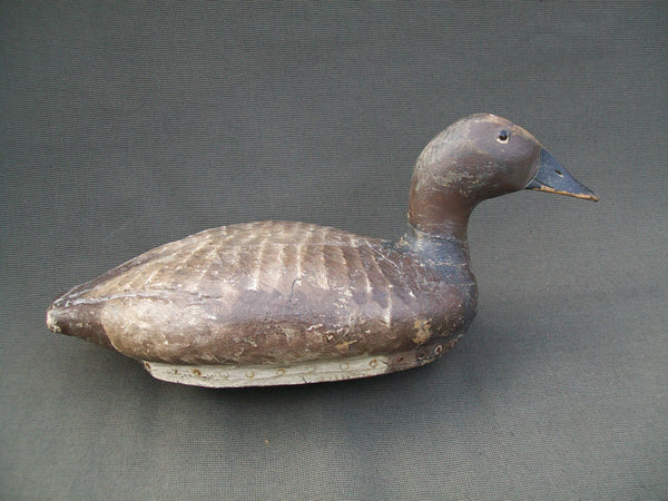 C.V. Wells Canvasback - Lifelike Decoys, Milwaukee, WI