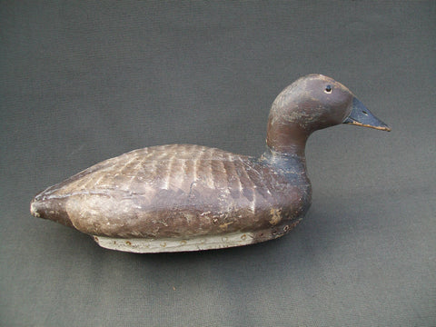 C.V. Wells Canvasback - Lifelike Decoys, Milwaukee, WI