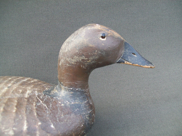 C.V. Wells Canvasback - Lifelike Decoys, Milwaukee, WI