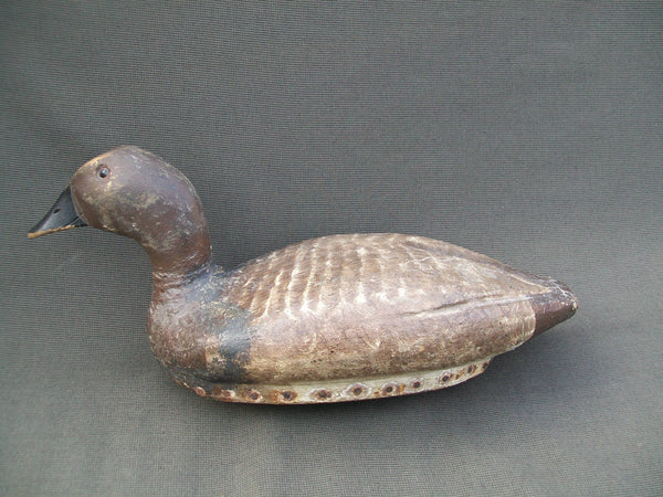 C.V. Wells Canvasback - Lifelike Decoys, Milwaukee, WI