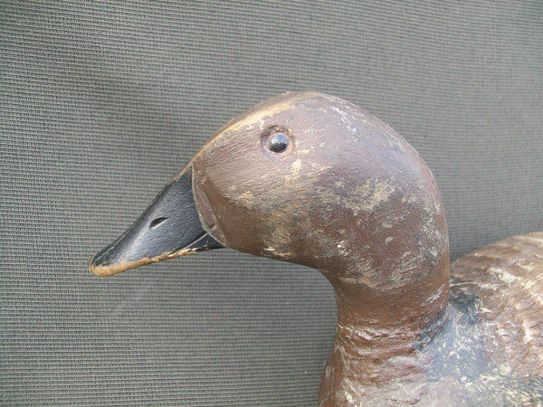 C.V. Wells Canvasback - Lifelike Decoys, Milwaukee, WI