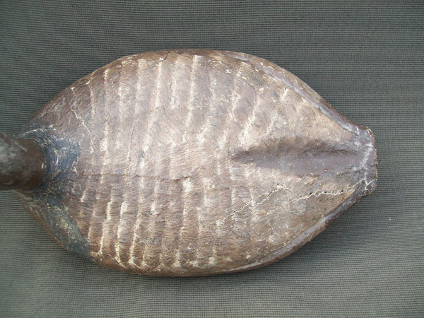 C.V. Wells Canvasback - Lifelike Decoys, Milwaukee, WI