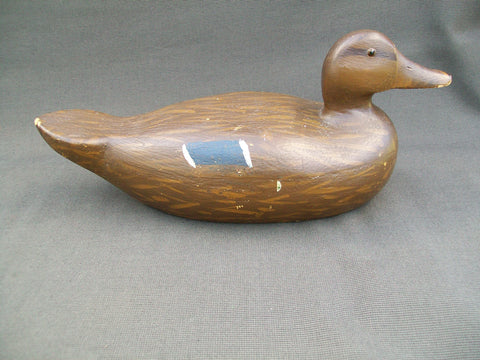 Carl Koch Mallard Hen - Circa 1930's  (#2961)