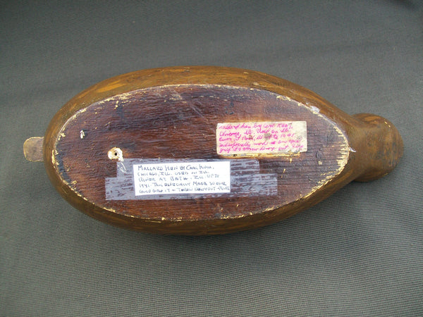 Carl Koch Mallard Hen - Circa 1930's  (#2961)