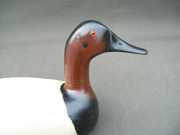 Jack Eppell Drake Canvasback with Lead Weight, Circa 1930's  (#2984)