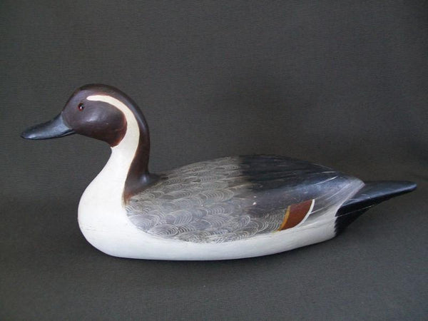 Robert Weeks Illinois River Pintail