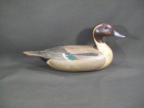 T.J. Hooker Pintail