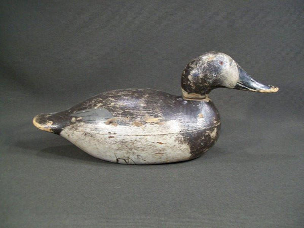 Premiere Mason Canvasback Hen O.P.