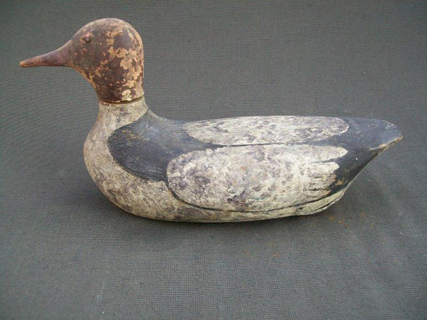 Vintage Tack eye Merganser