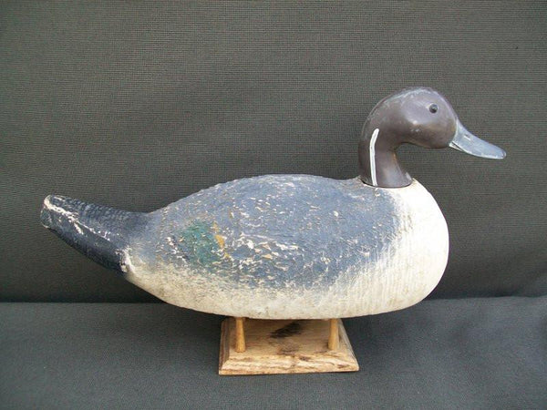 Animal trap Pintail
