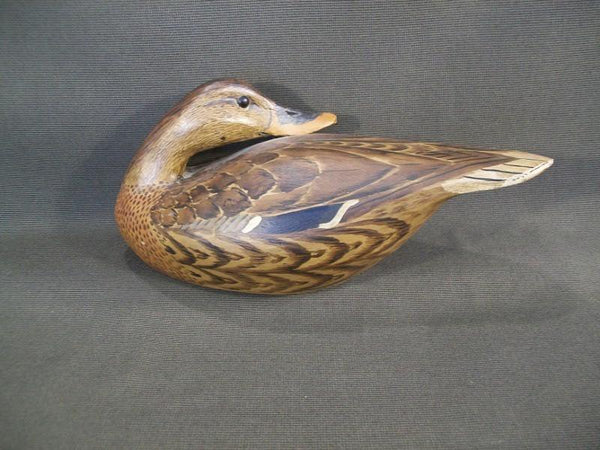 Grayson Chesser Sleeper Mallard Hen