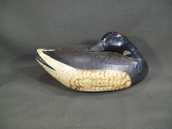 Long Island Sleeping Brant Working Wooden Decoy