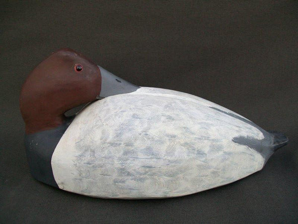 John Barrett Canada Sleeper Canvasback