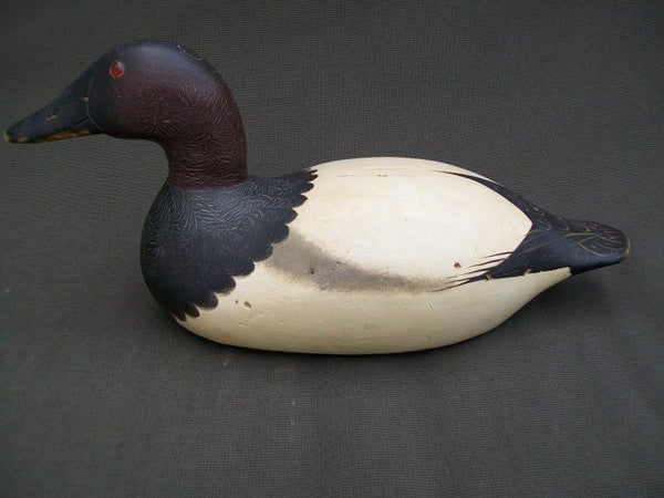 Mason Senica Lake Canvasback