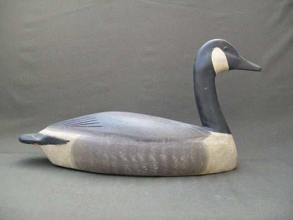 Michigan Canada Goose Ben Schmidt Influence