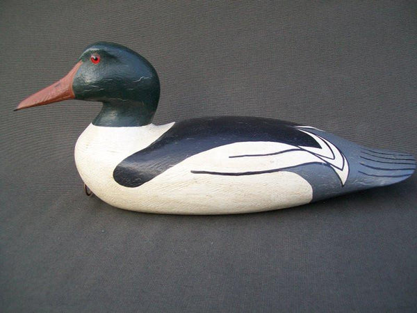 Dallas Valley Common Merganser