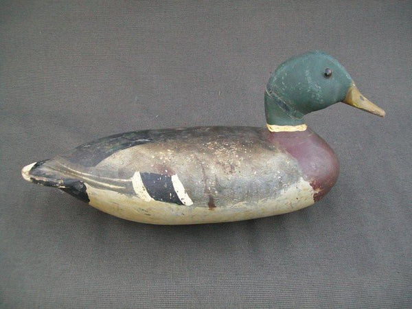 IIllinois River Mallard Lacon area